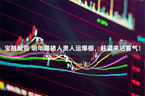 宝融配资 明年属猪人贵人运爆棚，赶紧来沾喜气！