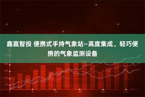 鑫赢智投 便携式手持气象站—高度集成、轻巧便携的气象监测设备