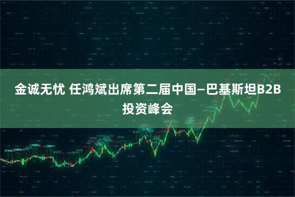 金诚无忧 任鸿斌出席第二届中国—巴基斯坦B2B投资峰会