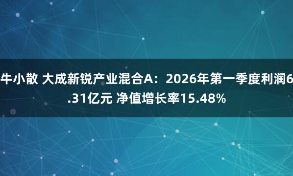 牛小散 大成新锐产业混合A：2026年第一季度利润6.31亿元 净值增长率15.48%